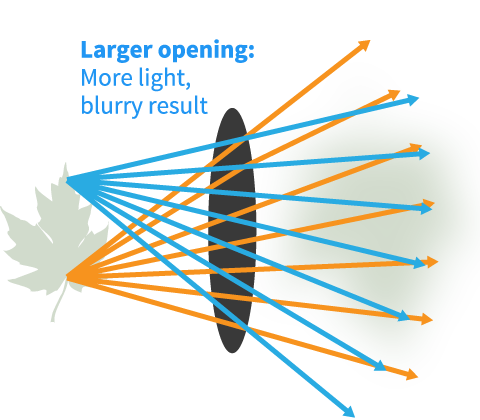 diagram of opening in the human eye