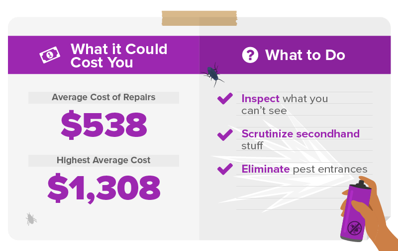Inspect and seal pest entrances and save up to $1,308 an infestation